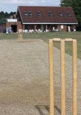 A photograph featuring a view of a set of stumps and a prepared Cricket wicket