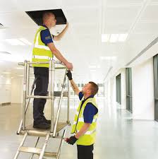 Picture of 2 men carrying out building maintenance