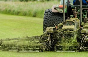 Picture of a Ride on Mower cutting grass