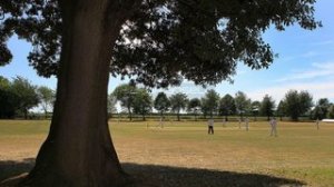 Picture of Faversham Cricket Ground